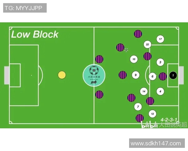 重庆排球队区域防守体系解析与战术应用探讨