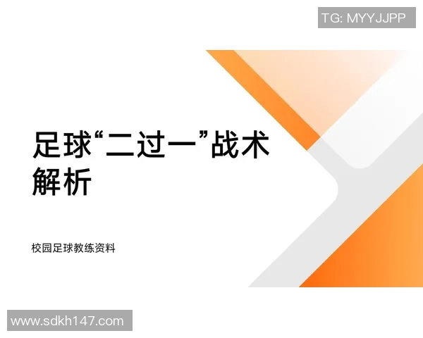 北京足球队控制体系的战术解析与实战应用探讨