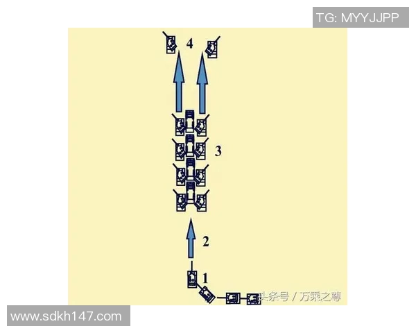 广州排球队的战术转换分析与得失评估